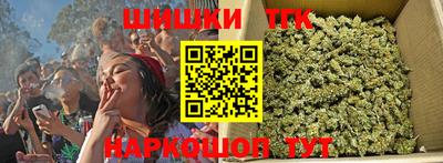 крисы Лесосибирск